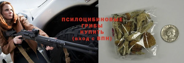 трава Осинники
