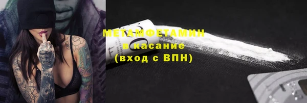 трава Осинники