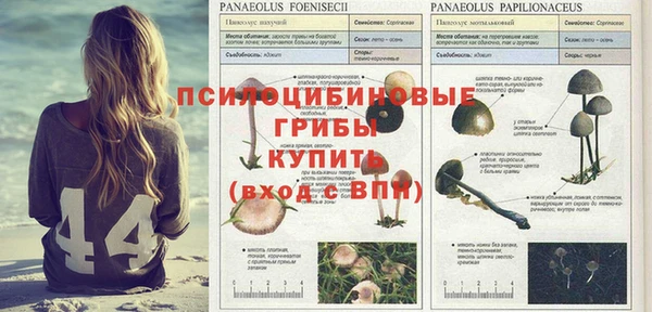 2c-b Осташков