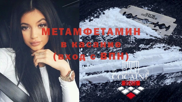 трава Осинники