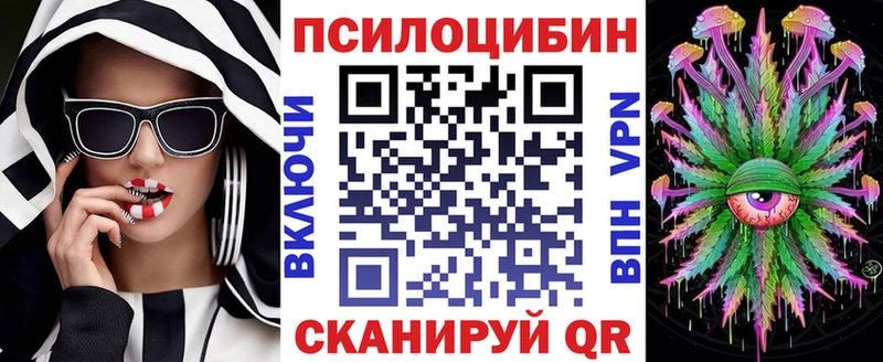 Галлюциногенные грибы Psilocybe Тихорецк