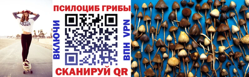 Псилоцибиновые грибы Cubensis  Тихорецк 