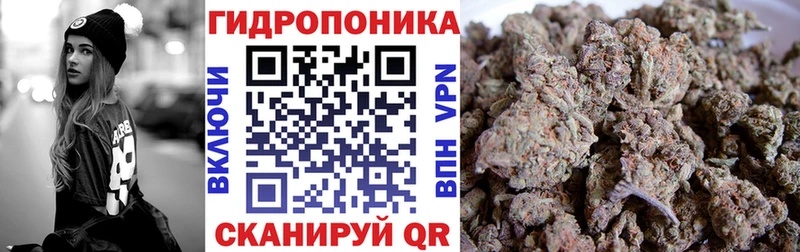 Марихуана OG Kush  OMG зеркало  дарк нет телеграм  Тихорецк 